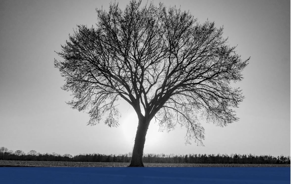The-Future-of-Value-Selling The-Future-of-Value-Selling